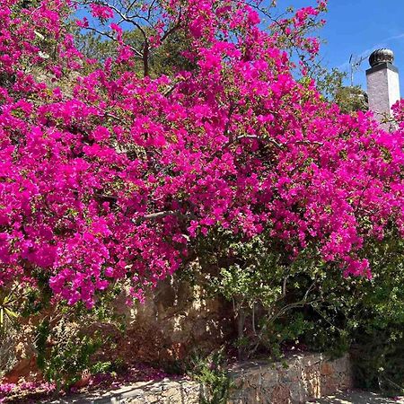 Fissi Villas Agritourism Accommodation Near The Sea Agios Nikolaos Exterior foto