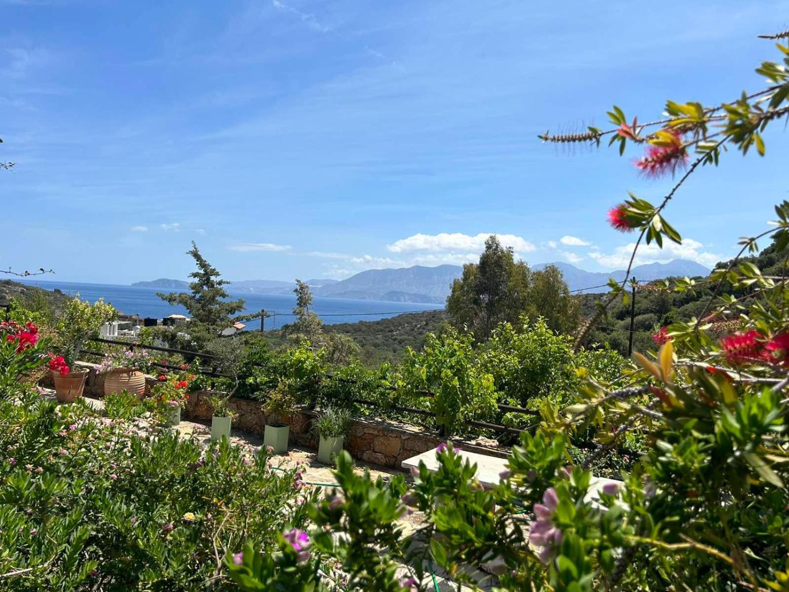 Fissi Villas Agritourism Accommodation Near The Sea Agios Nikolaos Exterior foto